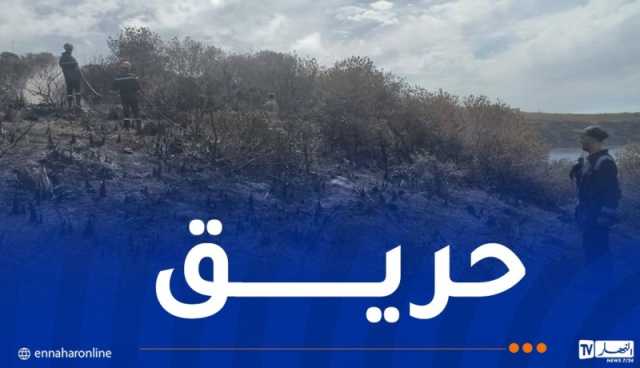 اندلاع حريق في غابة كاف كالة بالشلف