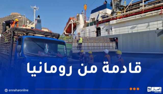 ميناء وهران يستقبل الليلة أكبر باخرة مُحملة بالأضاحي المستوردة