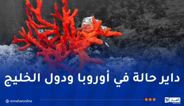 تسميم الجزائريين بمنتجات مستوردة “بيريمي” مقابل تهريب المرجان