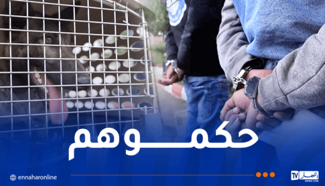 تيارت.. توقيف شخصين قاما بتحريض كلب على طفل قاصر