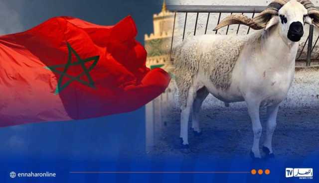  المخزن يعلن السبت يوم عيد الأضحى