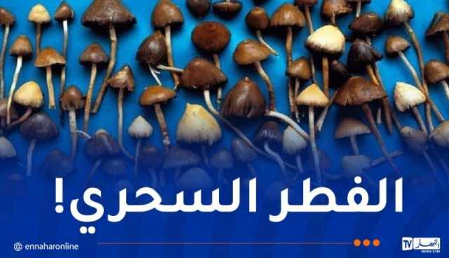 7 سنوات سجنا لطلبة جامعيين حوّلوا إقامة لحديقة تجارب لزراعة المخدرات!