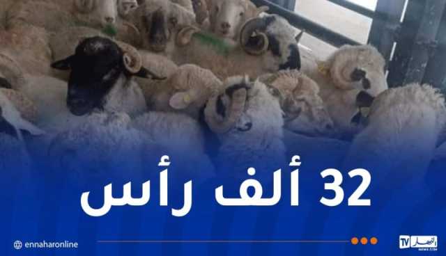 وصول باخرتين محمّلتين بالأضاحي الرومانية إلى ميناء عنابة والعاصمة