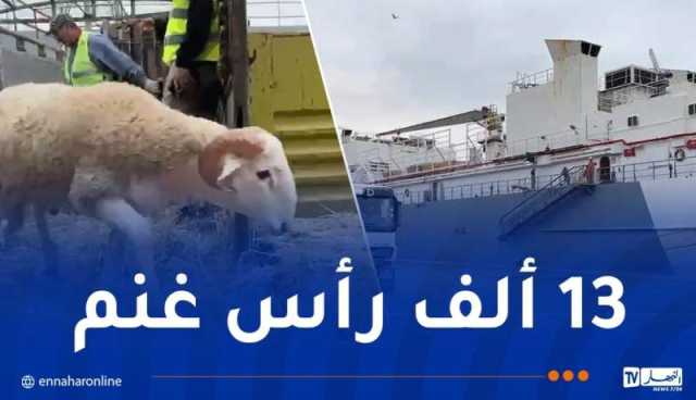 ميناء وهران.. وصول باخرة بمحملة بالأضاحي الإسبانية