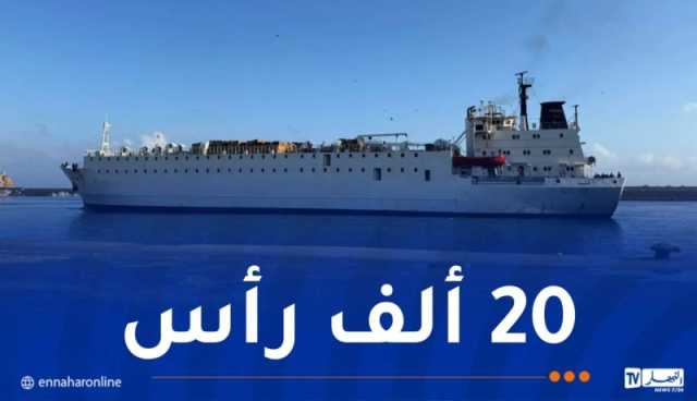 وصول باخرة محملة بالأضاحي الإسبانية إلى ميناء وهران