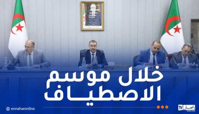 هذا ما أمر به وزير النقل بخصوص الجالية الوطنية
