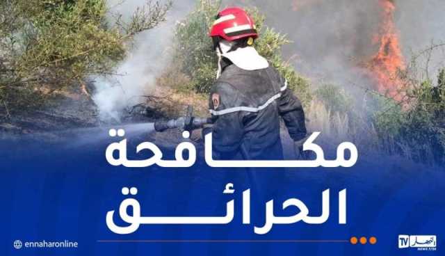 تفعيل مخطط مكافحة الحرائق.. ومنع الشواء في الغابات بعيد الأضحى