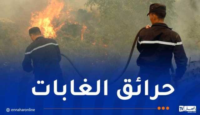 35 درون لتأمين الغابات.. 150 مليون غرامة والمؤبد للمتسببين في إحراقها