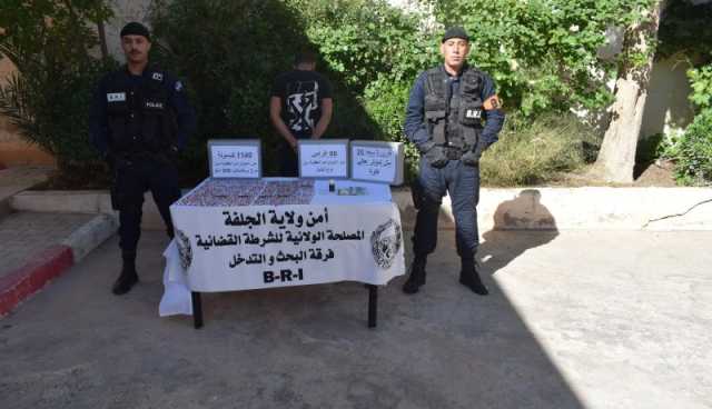 الجلفة: الإطاحة بمروّج مخدرات وحجز أزيد من 1140 قرصاً مهلوساً