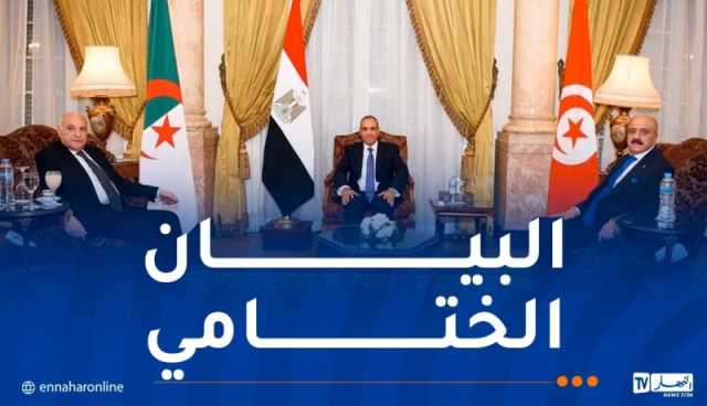 مصر وتونس والجزائر يرفضون كل أشكال التدخل الخارجي في ليبيا