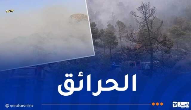إندلاع حريق غابة في سطيف