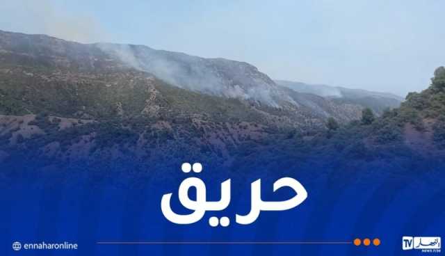 حريق الحظيرة الوطنية للشريعة ينتشر لحدود المدية