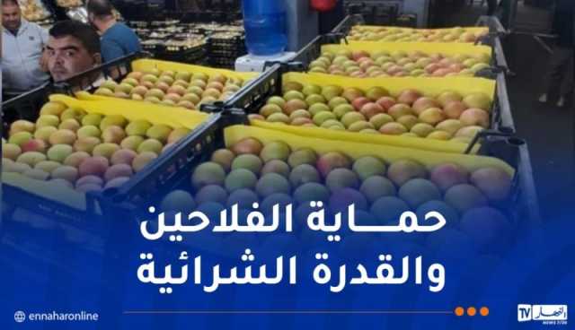 فضاءات مجانية لمنتجي التفاح لإحباط مخططات المضاربين
