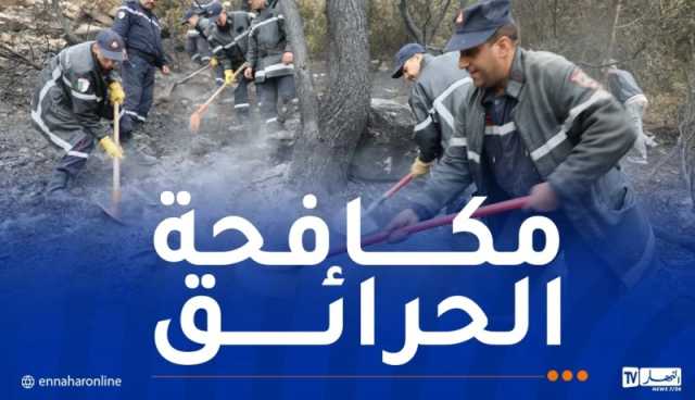 إخماد حرائق غابات عبر 9 ولايات