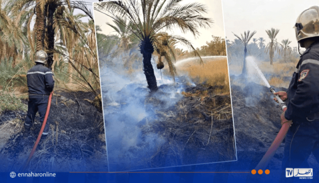 المغير .. الحماية المدنية تتجند لاخماد حريقين بغابات النخيل