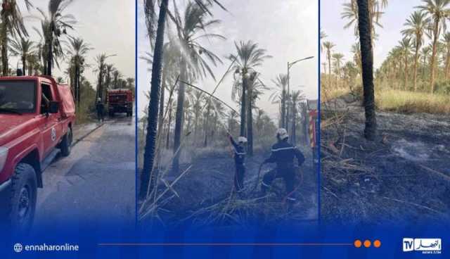 المغير .. إحتراق 29 نخلة مثمرة وحوالي هكتار حشائش بدندوقة