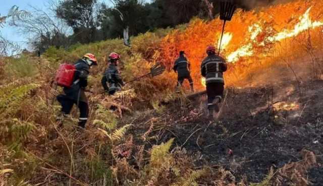 إندلاع حرائق غابات وأدغال بـ 7 ولايات