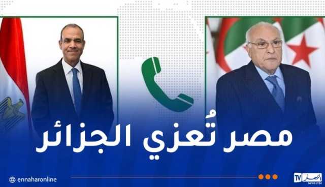 وزير الخارجية يتلقى مكالمة من نظيره المصري