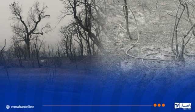 سونلغاز البليدة: عودة الكهرباء بالشريعة وتواصل قطع الغاز احترازيًا