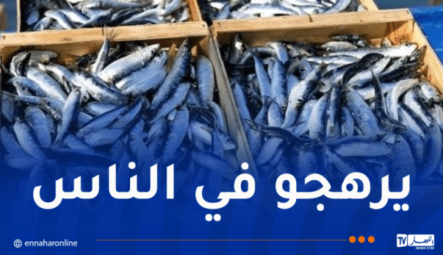 غليزان.. حجز قرابة 10 قناطير من السمك الفاسد
