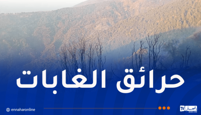 إندلاع حرائق في غابات البليدة وتيبازة اليوم