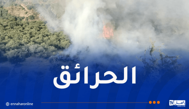 تسجيل 17 حريقا عبر الوطن خلال 24 ساعة