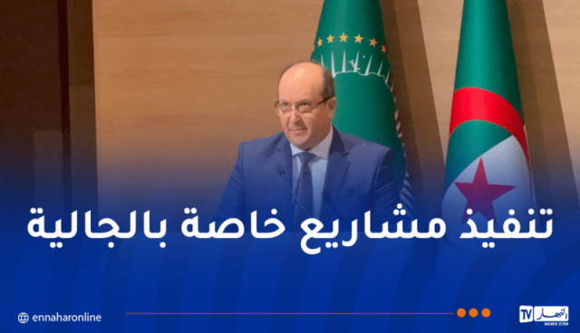 الوزير الأول بالنيابة يُؤكد على أهمية مساهمة الجاليات الإفريقية في تنمية القارة