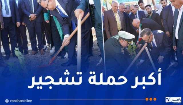 بداري يُشارك في الحملة المليونية للتشجير