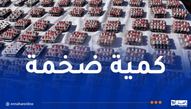 العاصمة.. توقيف 8698 شخصا وحجز 37 ألف قرص مهلوس شهر سبتمبر