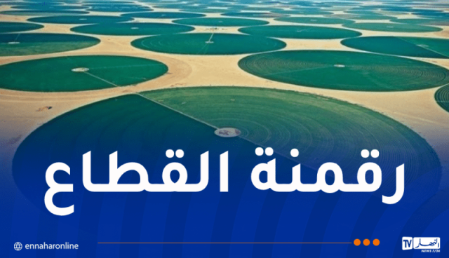 حرطاني: الفلاحة رهان الجزائر نحو السيادة الغذائية