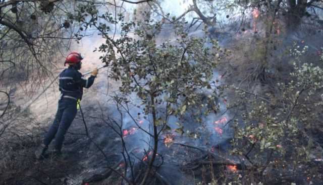 المدية.. اندلاع حريق في غابة خزرون بالحمدانية 