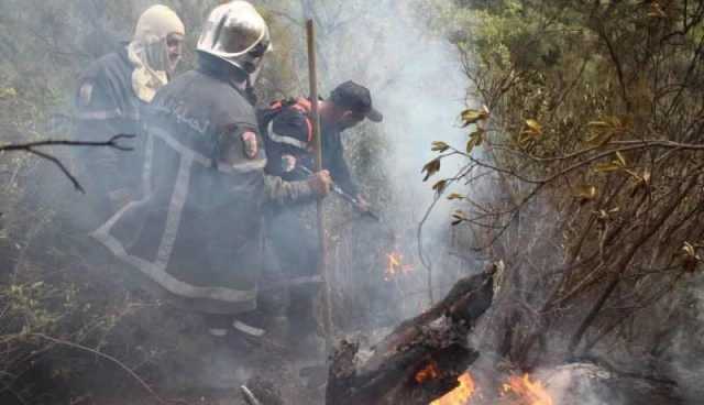  الحماية المدنية: تسجيل 35 حريقا عبر 11 ولاية 