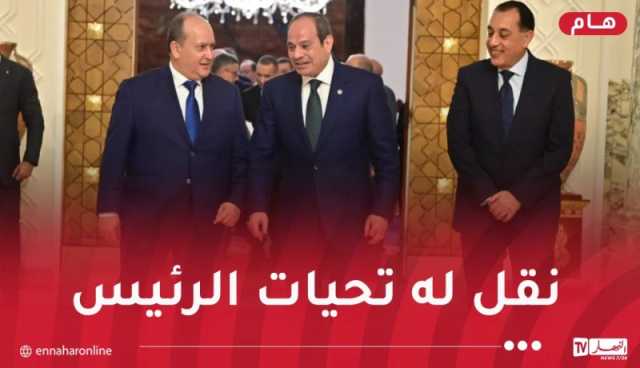 الوزير الأول يُستقبل من قبل الرئيس المصري