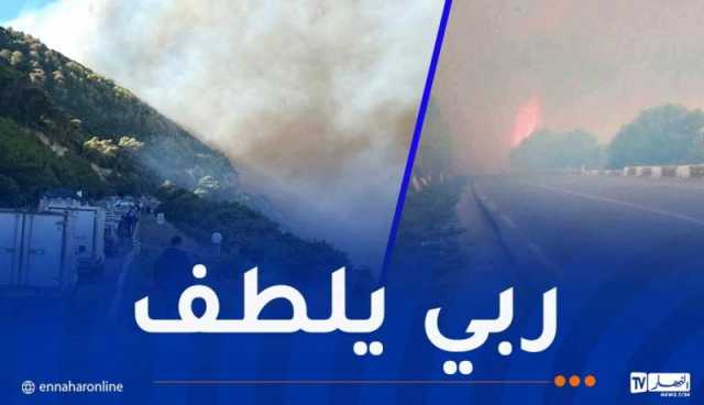 عملية الإخماد متواصلة.. إندلاع حريق غابة بالأرهاط في تيبازة