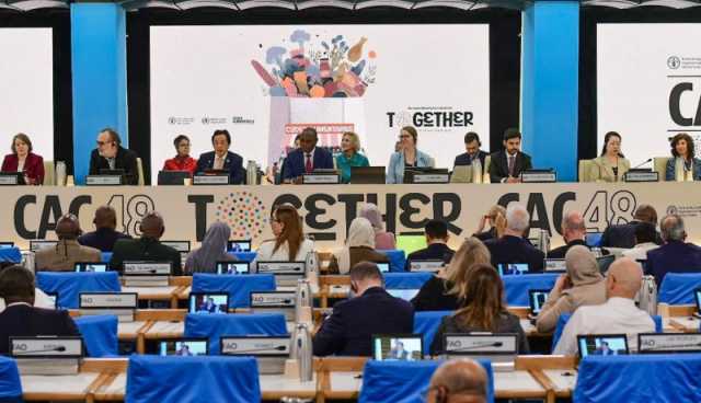 إعتماد مواصفة عالمية للتمور الطازجة