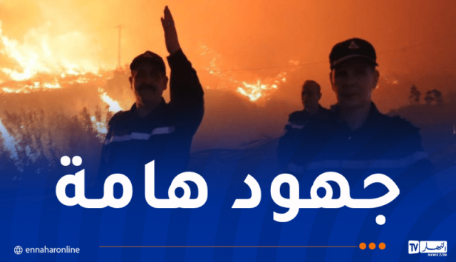 حرائق تيبازة.. إجلاء 55 عائلة إلى مناطق آمنة