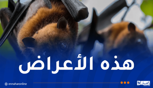 إثيوبيا تعلن تفشي وباء “ماربورغ” جنوب البلاد