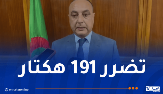 والي تيبازة للنهار Tv: لا خسائر بشرية جراء الحرائق وتعويض المتضررين