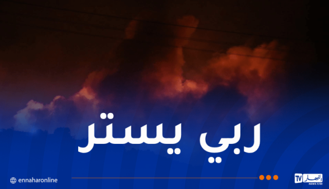 حرائق تيبازة.. جهود الإطفاء متواصلة بـ5 غابات