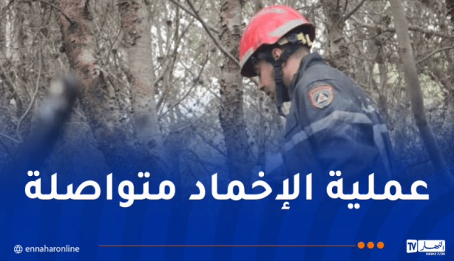 السيطرة على بعض بؤر الحرائق بتيبازة