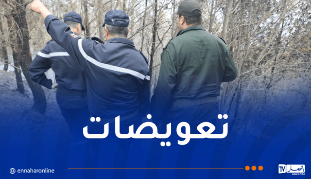 رئيسة مصلحة حماية الثروة الغابية: الدولة ستتكفل بتعويض المتضررين من الحرائق