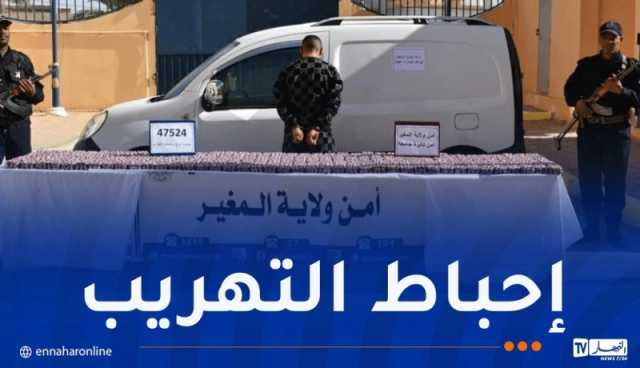 المغير: حجز قرابة 48 ألف قرص “بريغابالين”