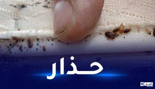 هذه علامات غزو “بق الفراش” للمنازل