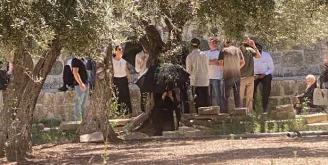 محافظة القدس: 6542 مستوطنا اقتحموا الأقصى خلال يوليو الماضي