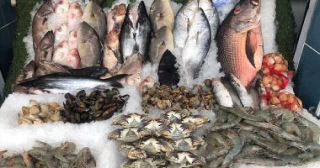 اقتصاد وبورصة استقرار أسعار الأسماك اليوم البلطى مقاس 1 ما بين 70 و75 جنيها
