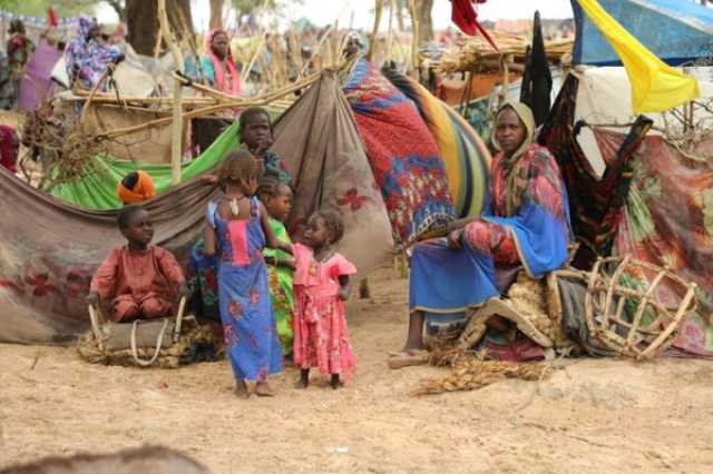 اقتصاد الفاو: أكثر من 20 مليون سوداني على حافة المجاعة بسبب الحرب