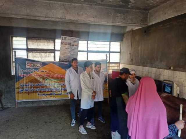 «تكنولوجيا الأغذية» ينظم برنامجاً تدريبياً مجانياً لطلاب زراعة عين شمس