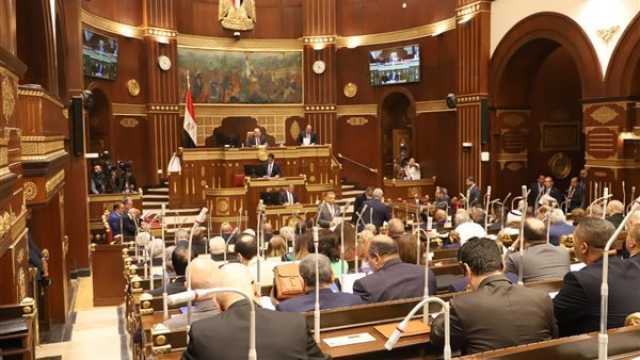 نائب بالشيوخ: مصر ستكون الأكثر جذبًا إفريقيًا وعربيًا بفضل المنظومة التشريعية