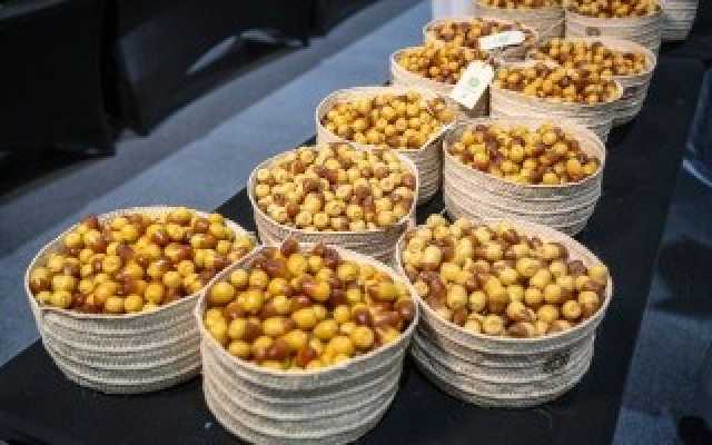 5 أطنان رطب يستقبلها مهرجان ليوا خلال يومين