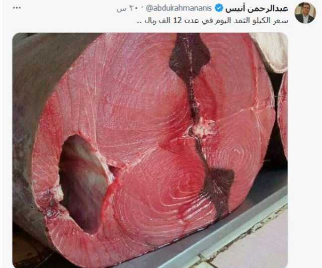 السمك يسجل ارتفاع قياسي بعدن